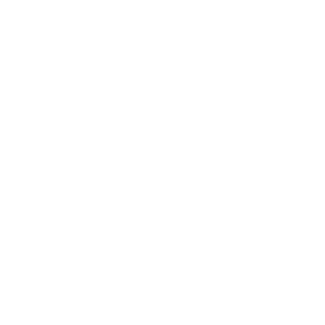 Línea 3 Torres Logo